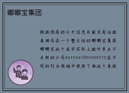 嘟嘟宝集团